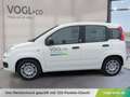Fiat Panda FireFly Hybrid 70 Weiß - thumbnail 2