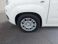 Fiat Panda FireFly Hybrid 70 Weiß - thumbnail 13