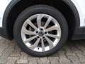 Volkswagen T-Roc T-Roc 1.5 TSI Style DSG-ACC-LED-AHK-Front+Lane Blanco - thumbnail 24