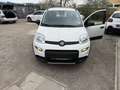 Fiat Panda Panda TwinAir 85 4x4 Wild Wild Weiß - thumbnail 12