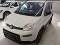 Fiat Panda Panda TwinAir 85 4x4 Wild Wild Weiß - thumbnail 12