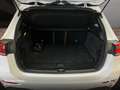 Mercedes-Benz B 220 d PROGRESSIVE+PANO+LED+BURMESTER+KAMERA+TOTW Weiß - thumbnail 20