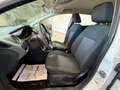 Ford Fiesta 1.2 82 CV 5 porte Active Wit - thumbnail 12