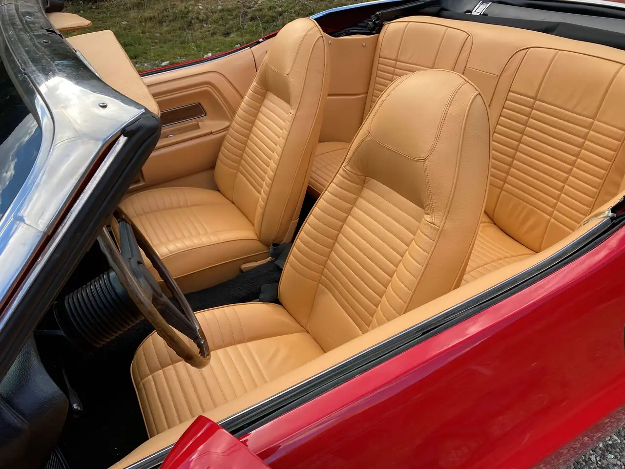 Dodge Challenger Cabrio V8, foto 8