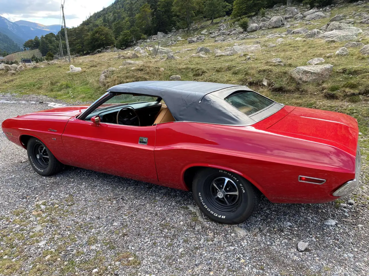 Dodge Challenger Cabrio V8, foto 10