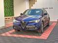 Alfa Romeo Stelvio Stelvio 2.2 Turbodiesel 190 CV AT8 Q4 Super Busin Blu/Azzurro - thumbnail 6