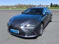Lexus ES 300 ES Hybrid 300h Luxury Line,Matrix LED, 360° Grau - thumbnail 2