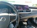 Lexus ES 300 ES Hybrid 300h Luxury Line,Matrix LED, 360° Grau - thumbnail 14