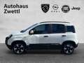 Fiat Panda Pandina PT 70 Weiß - thumbnail 3