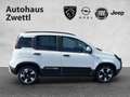 Fiat Panda /Pandina Cross Look Hybrid 70 Weiß - thumbnail 7