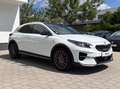 Kia XCeed 1,6 TGDI Platinum Edition AHK Navi Sound White - thumbnail 7