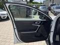 Kia XCeed 1,6 TGDI Platinum Edition AHK Navi Sound White - thumbnail 10