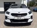 Kia XCeed 1,6 TGDI Platinum Edition AHK Navi Sound White - thumbnail 8