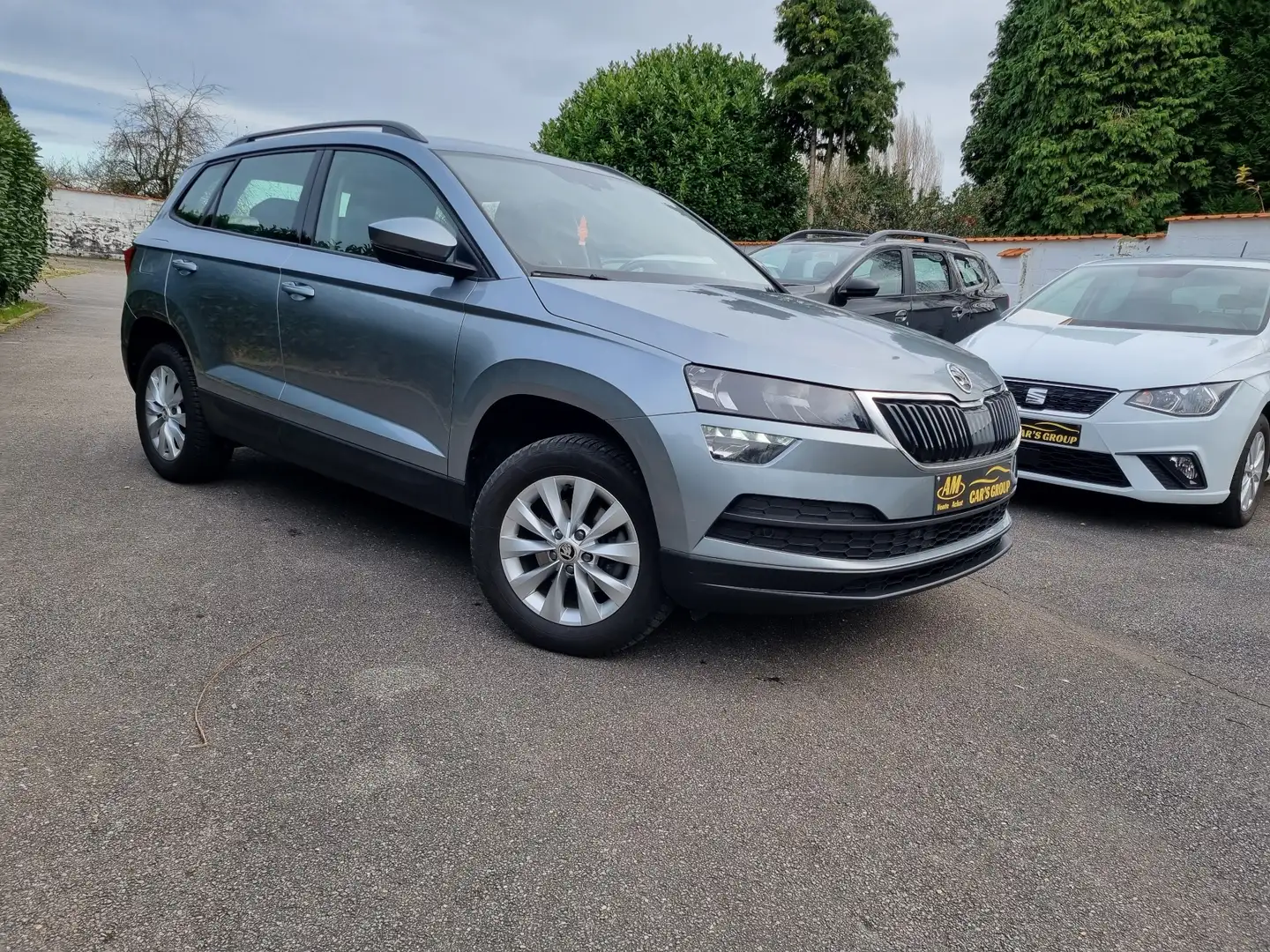 Skoda Karoq 1 an garantie Gris - 1