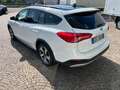 Ford Focus 1.5 EcoBlue 120 CV SW Active AUTOCARRON1+IVA Bianco - thumbnail 4
