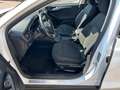 Ford Focus 1.5 EcoBlue 120 CV SW Active AUTOCARRON1+IVA Bianco - thumbnail 8
