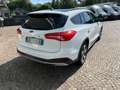 Ford Focus 1.5 EcoBlue 120 CV SW Active AUTOCARRON1+IVA Bianco - thumbnail 5