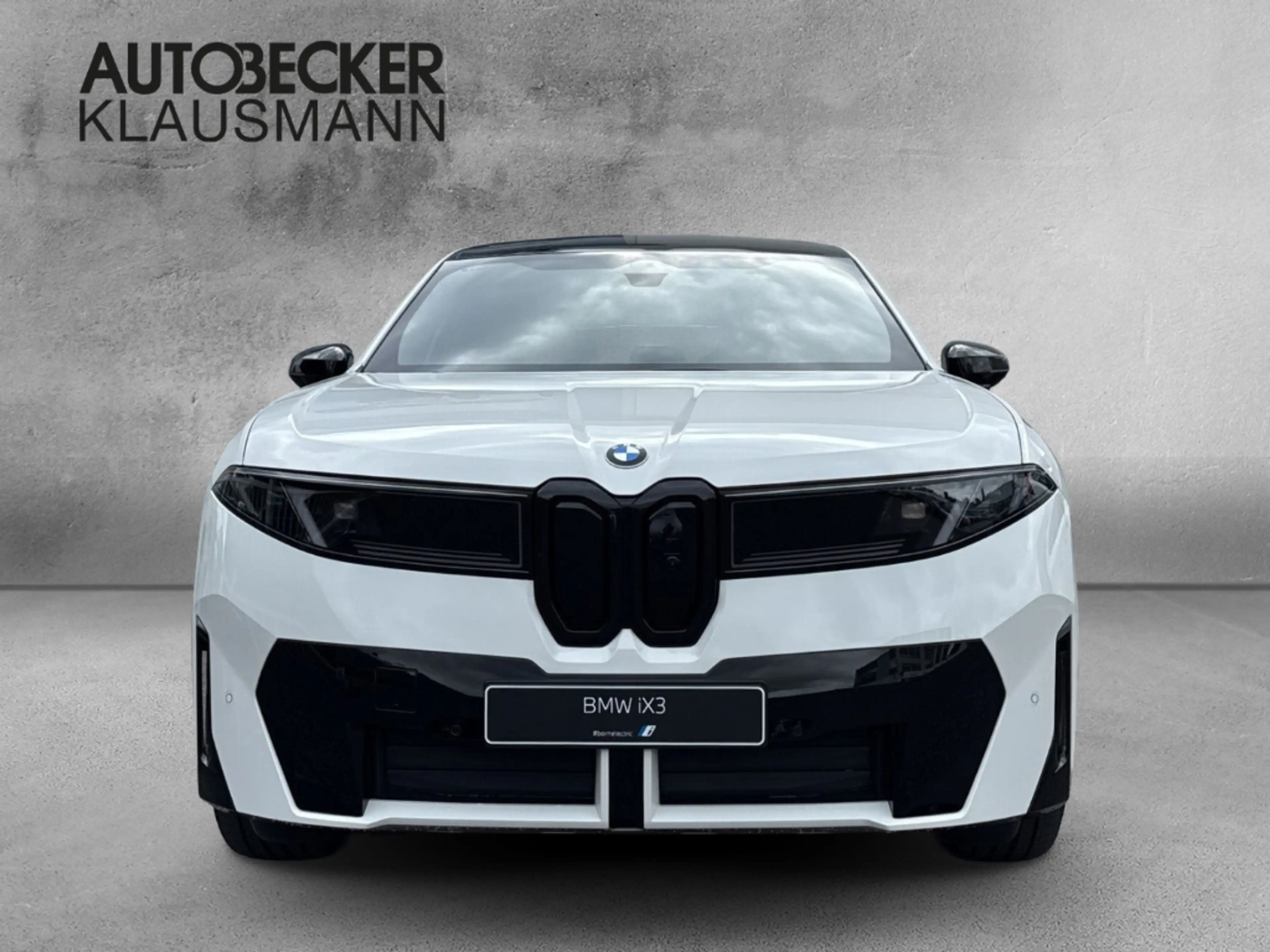 BMW iX3 40 M Sport Pro LMR 22'' HUD AHK Panorama Soundsyst — photo 5