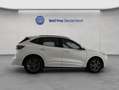Ford Kuga 1.5 EcoBoost ST-LINE, AHK, PDC, Shz, Gjr Weiß - thumbnail 8