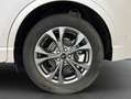Ford Kuga 1.5 EcoBoost ST-LINE, AHK, PDC, Shz, Gjr Weiß - thumbnail 29