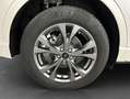 Ford Kuga 1.5 EcoBoost ST-LINE, AHK, PDC, Shz, Gjr Weiß - thumbnail 30
