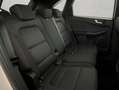 Ford Kuga 1.5 EcoBoost ST-LINE, AHK, PDC, Shz, Gjr Weiß - thumbnail 22