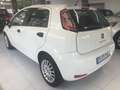 Fiat Punto 1.3Mjt Easy Wit - thumbnail 10