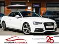 Audi A5 Cabriolet 2.0 TDI quattro |Sport Plus|CarPlay| Weiß - thumbnail 1