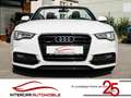Audi A5 Cabriolet 2.0 TDI quattro |Sport Plus|CarPlay| Weiß - thumbnail 6
