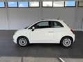 Fiat 500 500 1.0 Hybrid Dolcevita Weiß - thumbnail 5