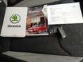 Skoda Kamiq 1.5 TSI DSG ACT Business Edition Wegklapbare trekh Grijs - thumbnail 28