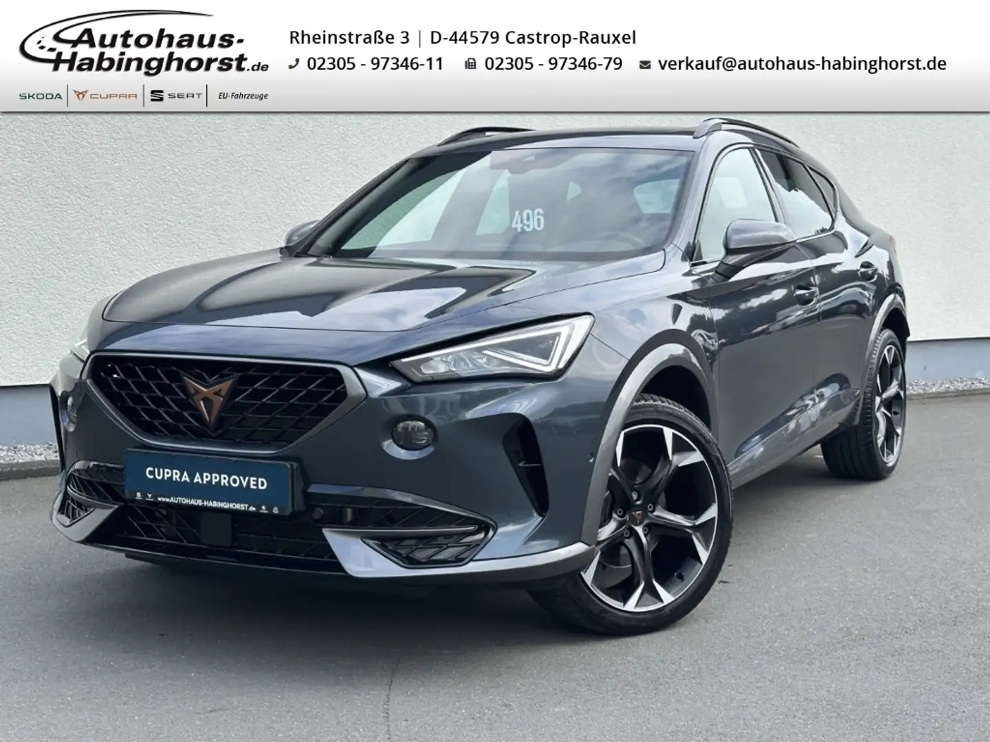 CUPRA Formentor 2.0 TSI DSG 4Drive Navi Pano Beats Standhzg 19Alu Grau - 1