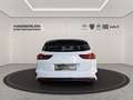 Kia Ceed SW / cee'd SW Ceed Sportswagon 1.5 T-GDI Spirit ACC+LED+SHZ+LM Blanco - thumbnail 4