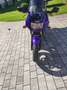 Kawasaki GPZ 500 S Modell D Violet - thumbnail 3
