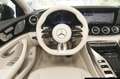 Mercedes-Benz AMG GT AMG GT 43 4M+ V8 Styling/Leder Exkl. Nappa beige Negru - thumbnail 12