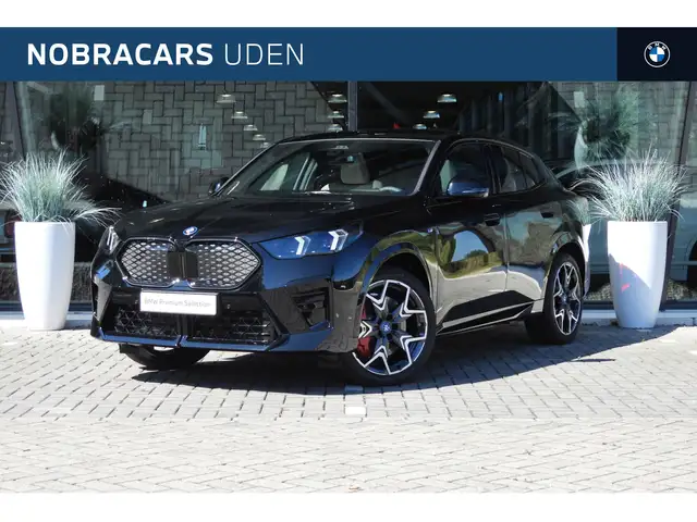 BMW iX2 eDrive20 High Executive M Sport / Panoramadak / Sp