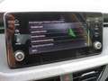 Skoda Scala Tour 1,0TSI 85kW LED SHZ SmartLink Blu/Azzurro - thumbnail 22