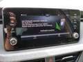 Skoda Scala Tour 1,0TSI 85kW LED SHZ SmartLink Blu/Azzurro - thumbnail 26
