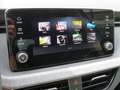 Skoda Scala Tour 1,0TSI 85kW LED SHZ SmartLink Blu/Azzurro - thumbnail 21