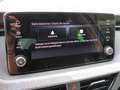 Skoda Scala Tour 1,0TSI 85kW LED SHZ SmartLink Blu/Azzurro - thumbnail 23