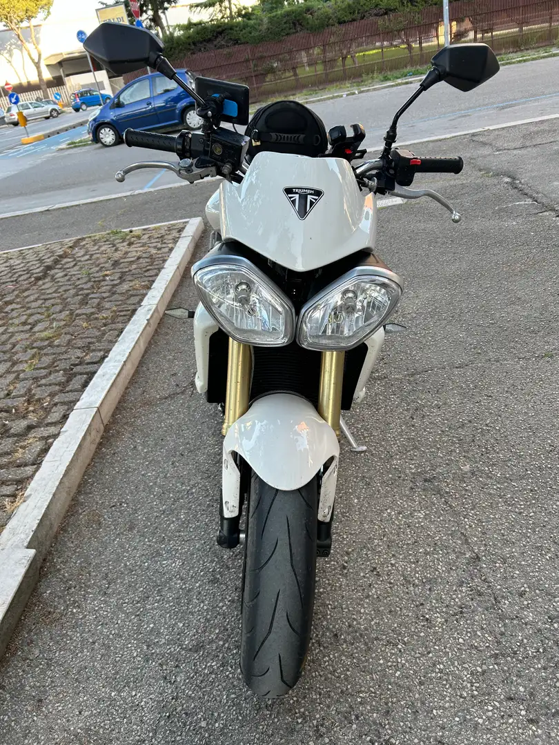 Triumph Street Triple 675 Street triple 675 anno 2008 Vendocambio categoria Bianco - 2