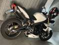 Triumph Street Triple 675 Street triple 675 anno 2008 Vendocambio categoria Bianco - thumbnail 8