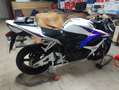 Honda CBR 600 RR - thumbnail 10