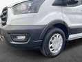 Ford Transit 350 L3H2 Lkw VA Trend Wit - thumbnail 6