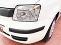 Fiat Panda 1.2 Lounge Blanco - thumbnail 18