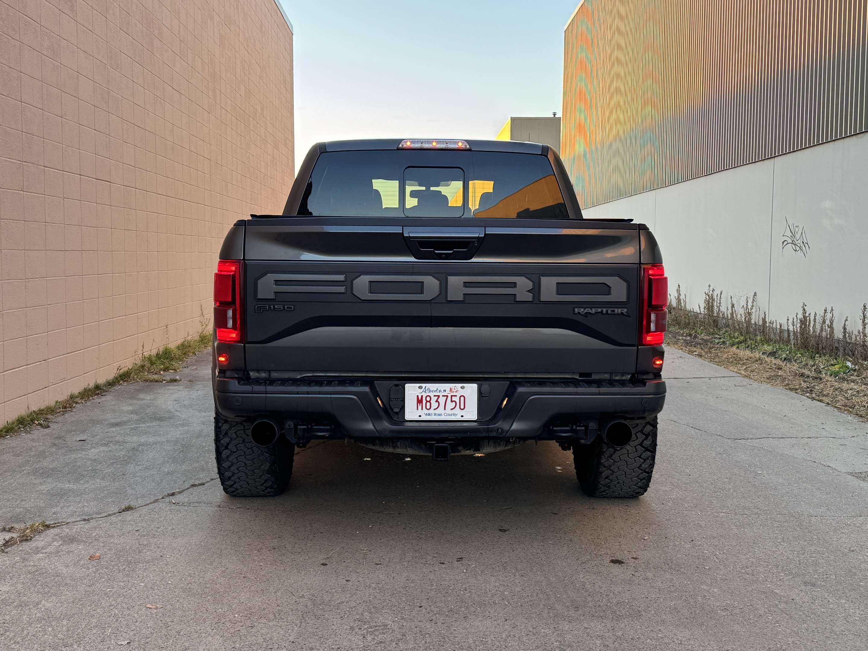 2019 Ford F-150 Raptor 4WD SuperCrew 5.5' Box — снимка 1
