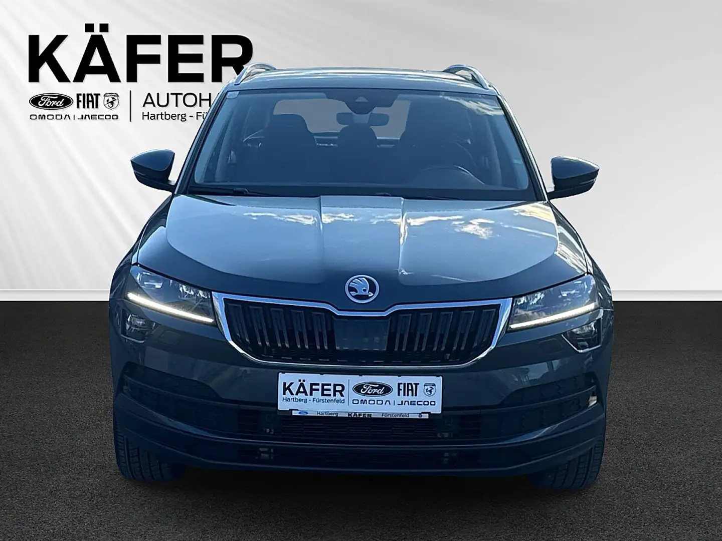 Skoda Karoq 2,0 TDI SCR 4x4 Style SC DSG Grau - 2
