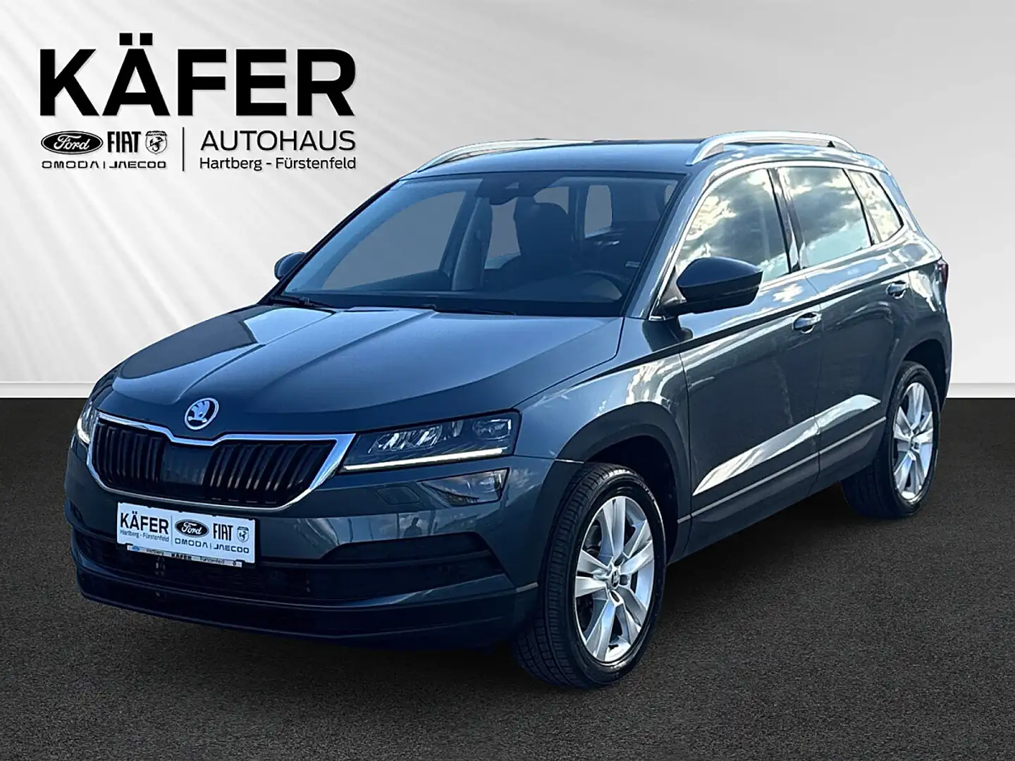 Skoda Karoq 2,0 TDI SCR 4x4 Style SC DSG Grau - 1