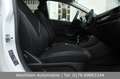Ford Fiesta 1,0 EcoBoost 101PS Titanium|AppCarPL|Navi Weiß - thumbnail 13