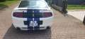 Ford Mustang Premium Pack+Roush Performance stg1+kit shelby - thumbnail 6